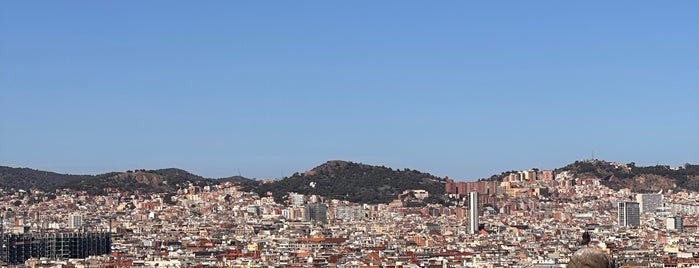 Mirador del Palau Nacional is one of Spain.