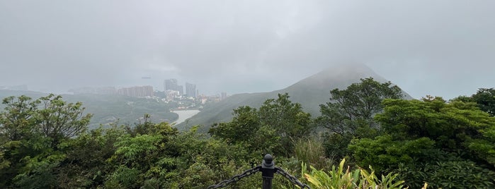 Victoria Peak Garden is one of HK.