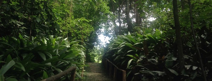 Parque Luis Carlos Prestes is one of Parques de São Paulo.