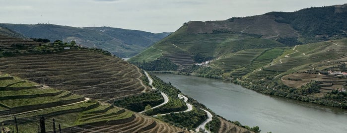 Quinta do Seixo is one of Lieux sauvegardés par Ben.