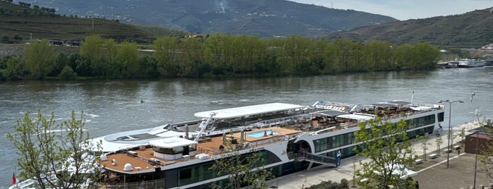 Museu do Douro is one of Portugal - Vortex.