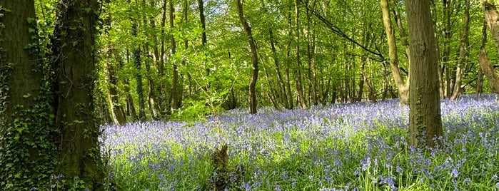 Heartwood Forest is one of All-time favorites in United Kingdom.