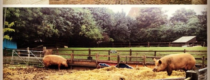 Hackney City Farm is one of To-do / London.
