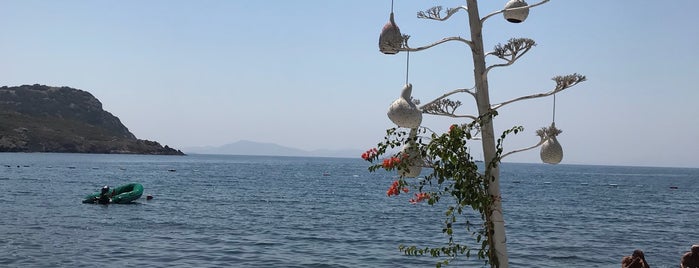 Gümüşlük Sahili is one of Tempat yang Disukai sinem.