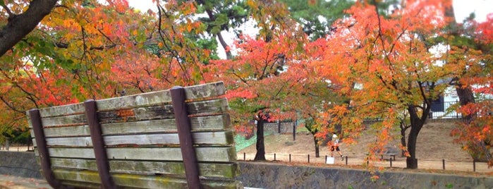 Shukugawa Park is one of 何かのアニメの聖地.