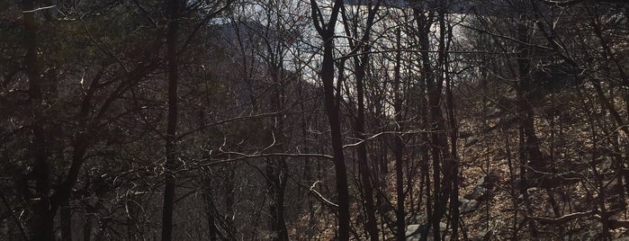 Undercliff Trail is one of Hikes, Explorations & Scenic Spots.