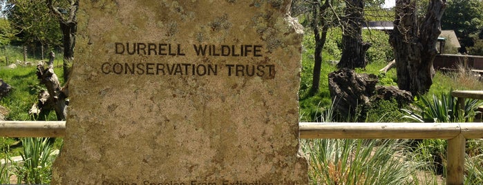 Durrell Wildlife Park is one of Favourite places.