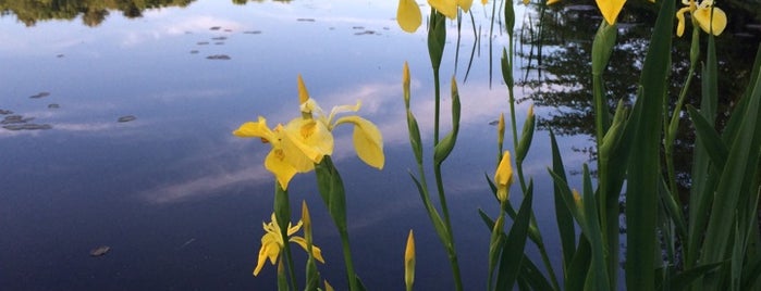 Eagles Mere Lake is one of Sullivan County.