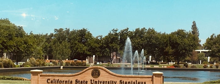 California State University, Stanislaus is one of SAI Chapters.
