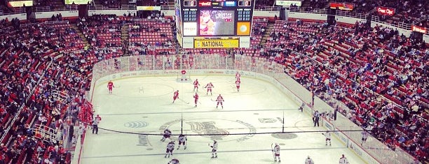 Joe Louis Arena is one of Detroit Len and Tom 2013.