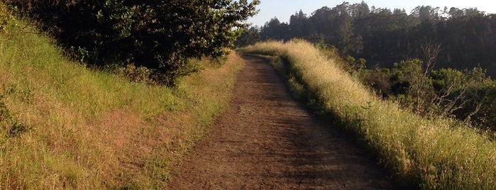 Tilden Park - Curran Trail is one of Berkeley.