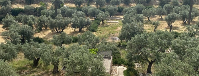 Mount Of Olives Jerusalem Cemetery is one of Jeru.