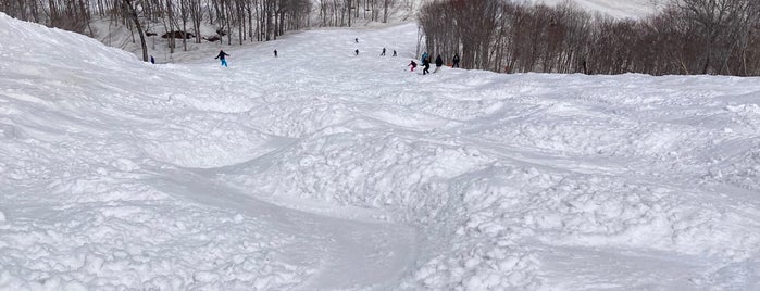 奥只見丸山スキー場 is one of snowboard.