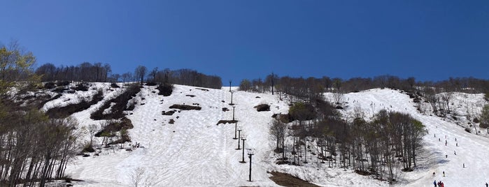 奥只見丸山スキー場 is one of snowboard.