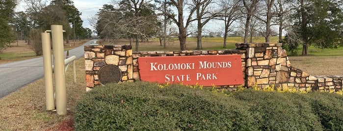 Kolomoki Mounds State Park is one of Native American Cultures, Lands, & History.