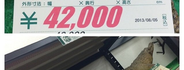 新潟県内ハードオフ オフハウス 新潟県内ハードオフ オフハウス