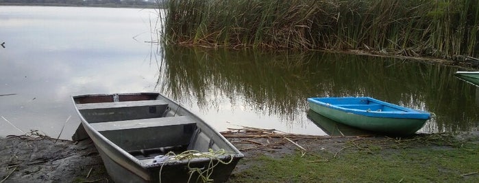 Laguna Coatetelco is one of Posti salvati di Luis.