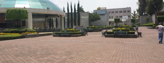 Colegio Anglo Mexicano is one of สถานที่ที่ AdRiAnUzHkA ถูกใจ.
