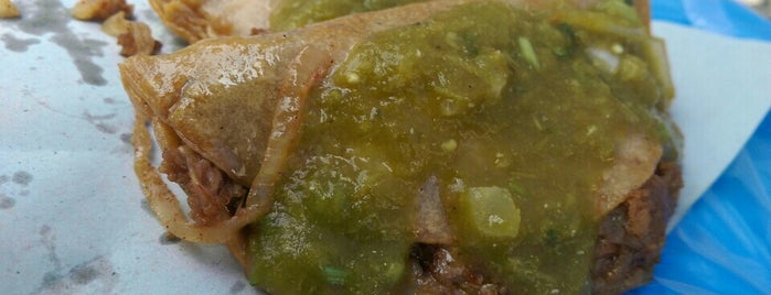 El Rey Del Taco, tacos de canasta is one of Coyocoapan.