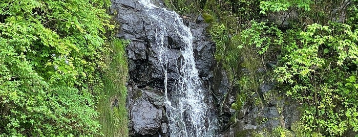 古閑の滝 is one of 行きたい(sightseeing).