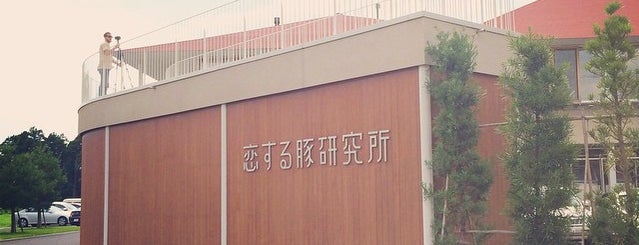 恋する豚研究所 is one of สถานที่ที่บันทึกไว้ของ papecco1126.