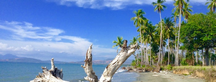 Pantai Akelamo is one of MSP Ferronickel Project (Obi Island).