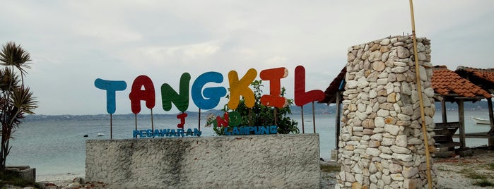 Pulau Tangkil is one of Lampung.