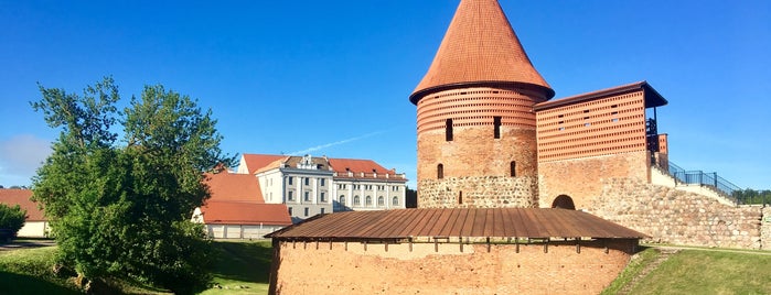 Kauno Pilis | Kaunas Castle is one of Illia'nın Beğendiği Mekanlar.