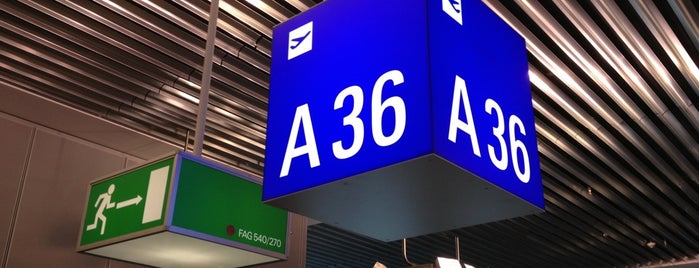 Gate A36 is one of Flughafen Frankfurt am Main (FRA) Terminal 1.