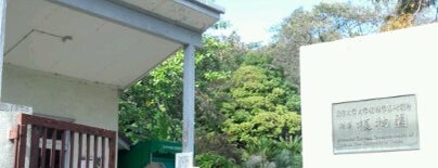 Koishikawa Botanical Gardens is one of Posti che sono piaciuti a J.