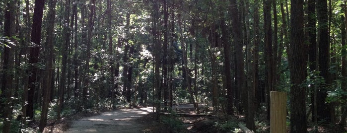 Hostel In The Forest is one of Tempat yang Disukai Rebecca.