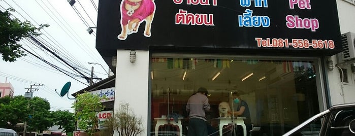 Grooming space pet hotel and salon is one of Locais curtidos por Dhanis.