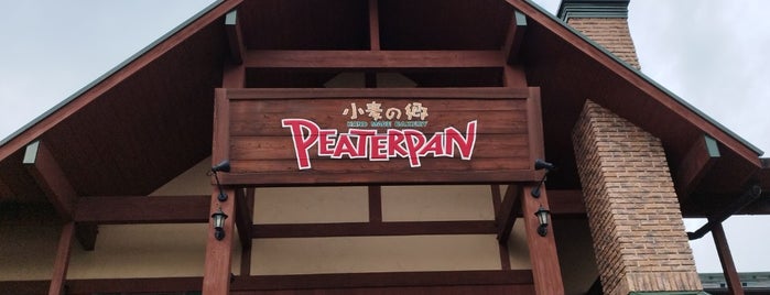 Peaterpan is one of Sada's Saved Places.