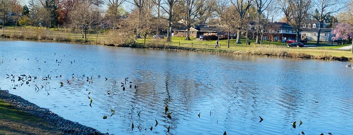 Newton Lake Park is one of Collingswood.