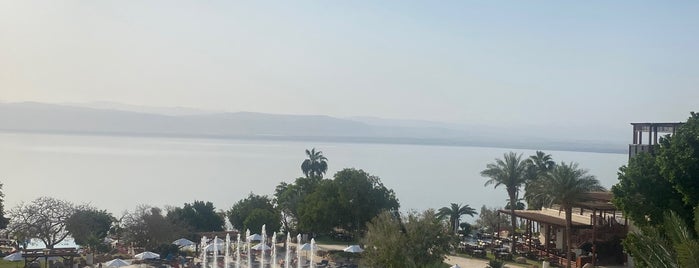 Dead Sea Marriott Resort & Spa is one of places i've been to.