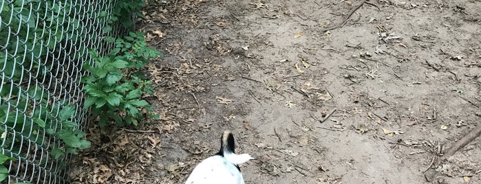 Staring Lake Dog Park is one of Pet-Friendly.