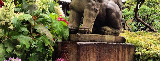 Hakusan-jinja Shrine is one of 東京十社.