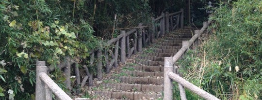 Iwayasan Cave is one of 東日本の町並み/Traditional Street Views in Eastern Japan.