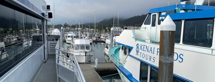 Kenai Fjords Tours is one of alaska.