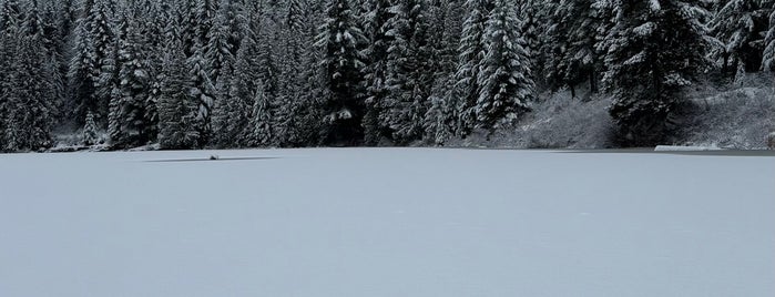 Lost Lake is one of Favorite places in Vancouver.