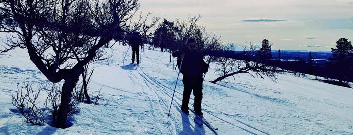 Fjätervålen is one of My best cross country skiing tips.
