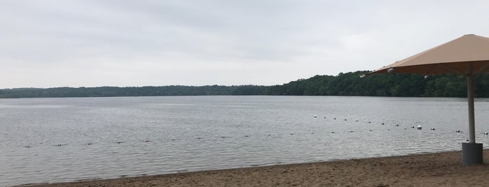 Lake Rebecca Park Reserve is one of Lugares favoritos de Kristen.
