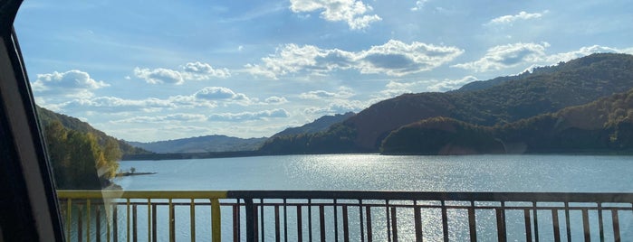 Lacul Paltinu is one of iubita.