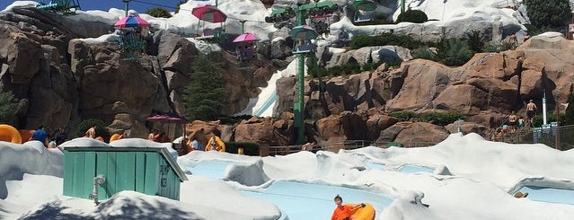 Disney's Blizzard Beach Water Park is one of America's Best Water Parks.