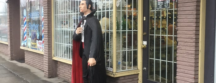 Netherworld Collectibles is one of Life in the Heights.