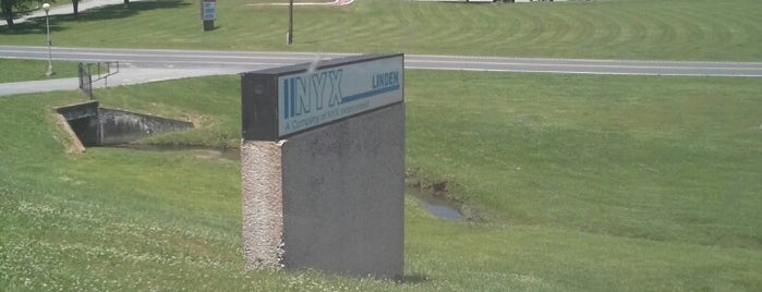 N Y X is one of Local Business.