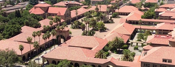 Universidad Stanford is one of Vivir San Francisco.