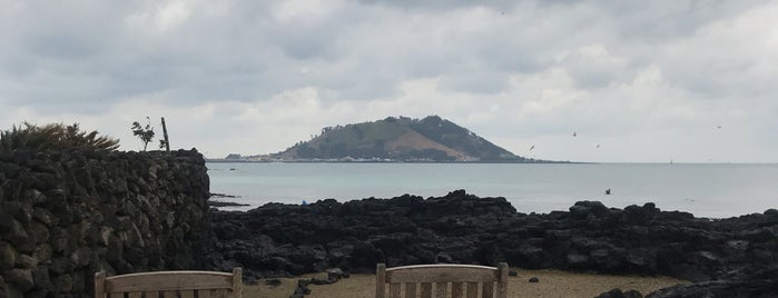 어랭이 is one of 제주 Jeju.