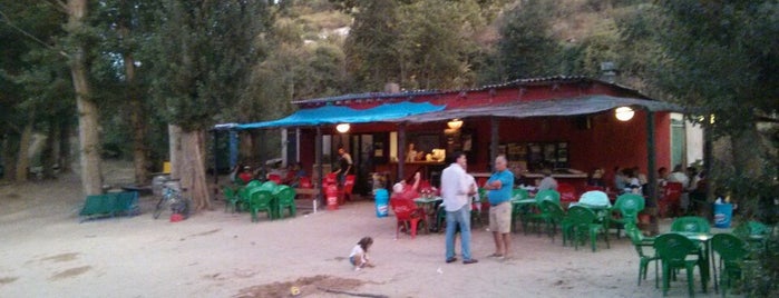 Bar El Piélago is one of สถานที่ที่ Luis ถูกใจ.