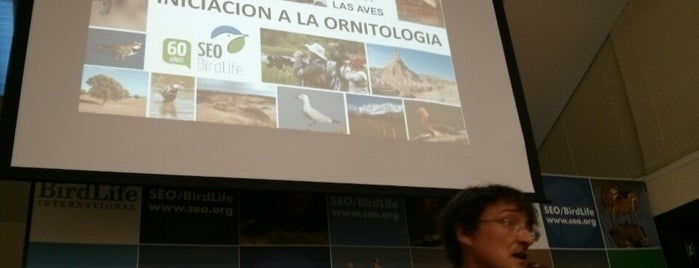 SEO/Birdlife is one of Luis’s Liked Places.